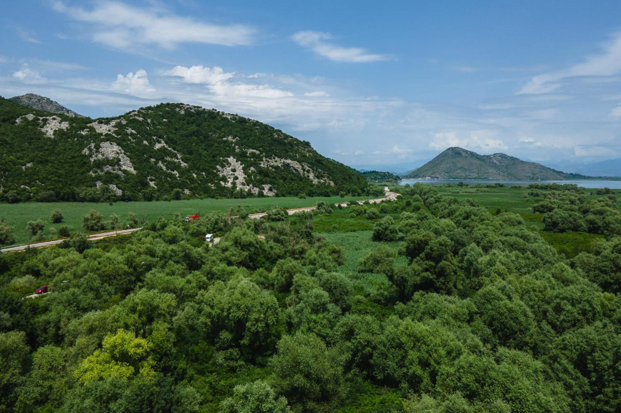 Green Hill فيربازار المظهر الخارجي الصورة